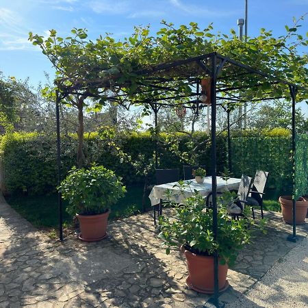Casa Borgo Hotel Бале Екстериор снимка